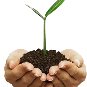Soil in hands PNG