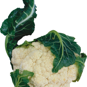 Cauliflower PNG
