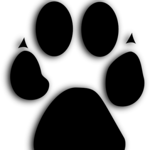 Paw PNG
