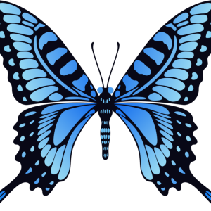 Blue butterfly PNG image