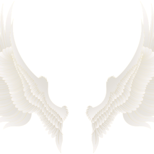 Wings PNG