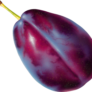 Plum PNG image