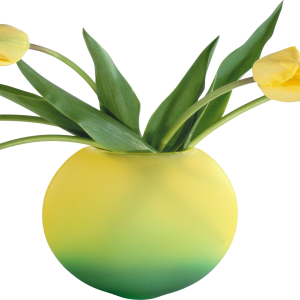 Vase PNG