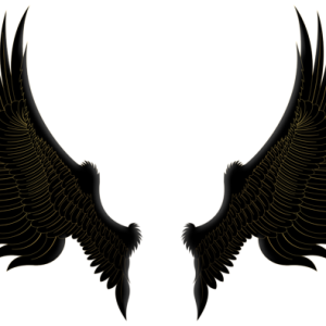 Wings PNG