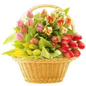 Bouquet flowers PNG