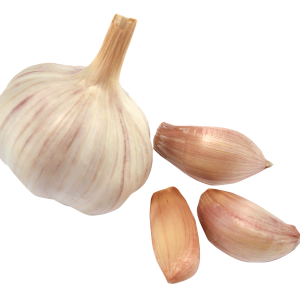 Garlic PNG