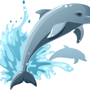 Dolphin PNG