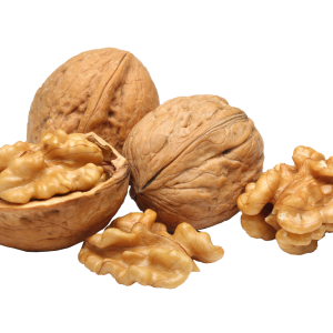 Walnut PNG