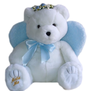 Teddy bear PNG