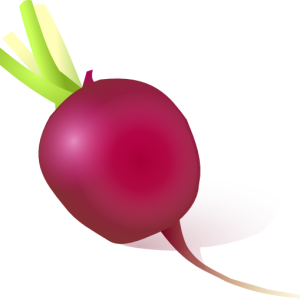 Radish PNG