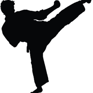 Karate PNG