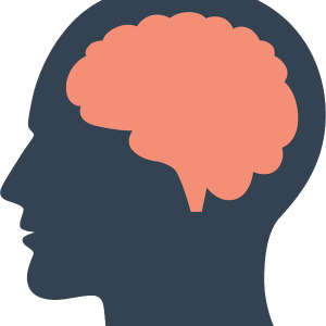 Brain PNG