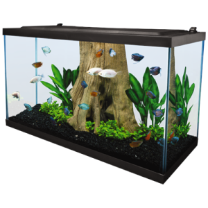 Aquarium PNG