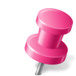 Pin PNG