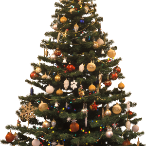 Christmas tree PNG
