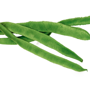 Green bean PNG