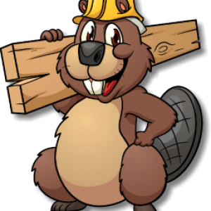 Beaver PNG