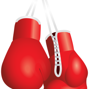boxing gloves PNG