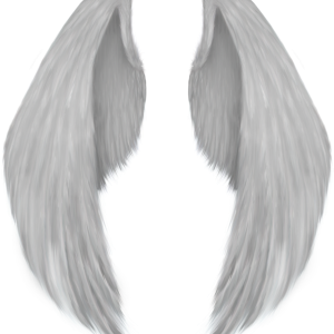 Wings PNG