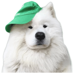 Samoyed PNG