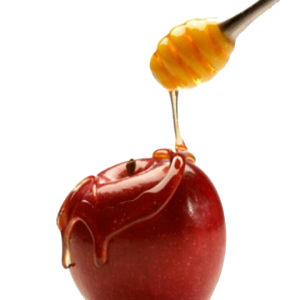 Honey PNG