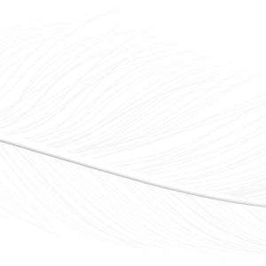 Feather PNG