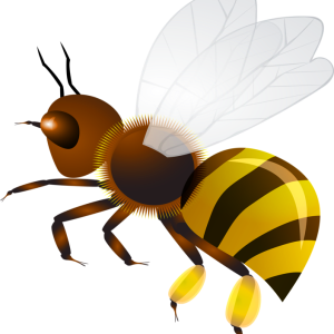 Bee PNG