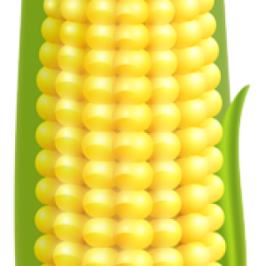 Corn PNG