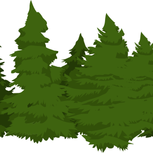 Forest PNG