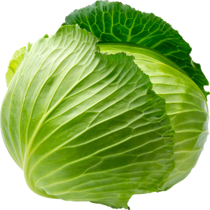 Cabbage PNG