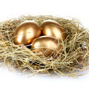 Nest PNG