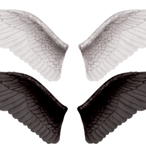 Wings PNG