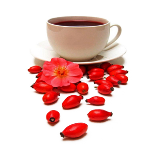 Rose hip and cup PNG