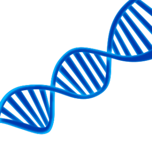 DNA PNG
