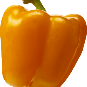 Bell pepper PNG