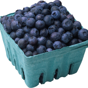 Blueberries PNG