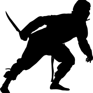 Ninja PNG
