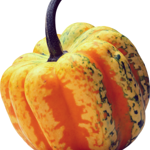 Pumpkin PNG image