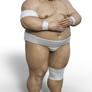 Sumo PNG