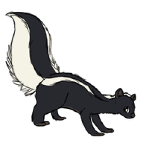 Skunk PNG