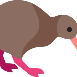 Kiwi bird PNG