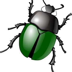 bug PNG image