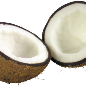 Coconut PNG image