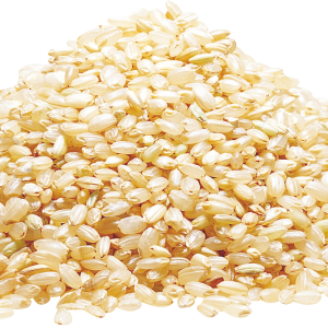 Rice PNG