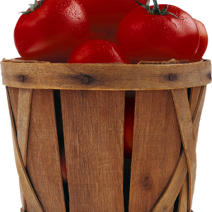 Tomatoes in bucket PNG