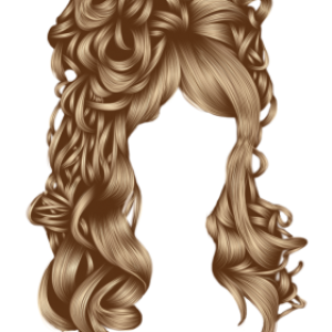 Hair wig PNG