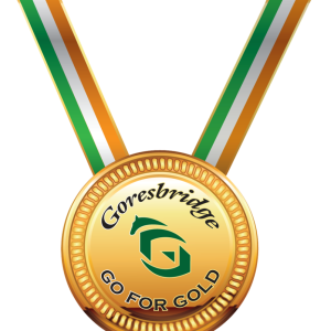 Gold medal PNG