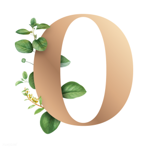 Letter O PNG