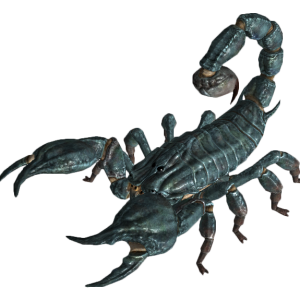 Scorpion PNG