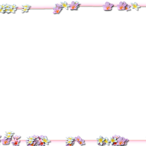 Floral frame PNG